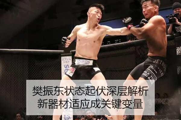 樊振东状态起伏深层解析 新器材适应成关键变量